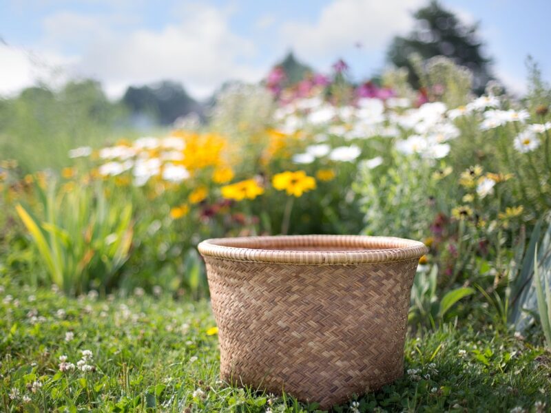 basket, wildflowers, summer, flower field, nature, basket, basket, basket, basket, basket
